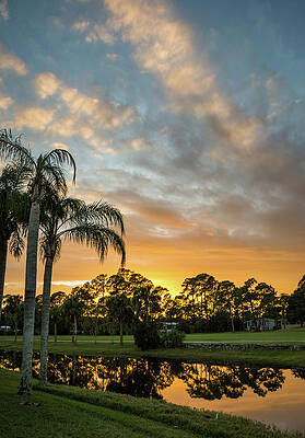 Blue Photograph - Christmas Sunset 2016 by David Hart