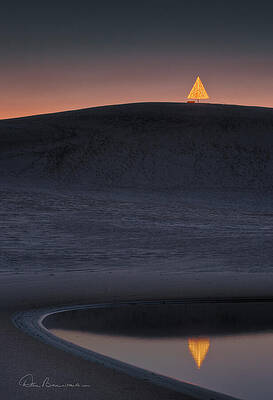 Obx Photograph - Christmas Tree On Jockey's Ridge 6970 by Dan Beauvais