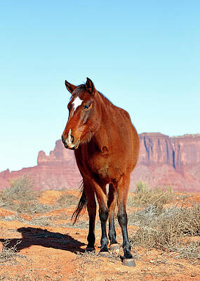 Rocky Photograph - Classic by Nicholas Blackwell