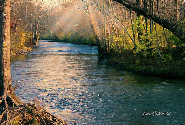 Summer Wall Art featuring the photograph Clinton River Peaceful Waters by Joann Copeland-Paul