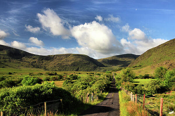 Wall Art featuring the photograph Cloghane Road To Lake by Mark Callanan