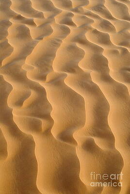 Outdoors Wall Art featuring the photograph Close-up Of Sand Dune Pattern by Sami Sarkis Photography