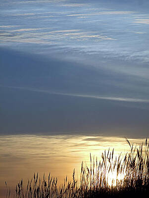 Sky Wall Art featuring the photograph Clouded Sunrise I V by Robert Newman