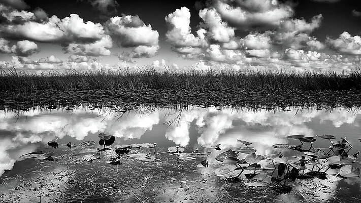 Florida Wall Art featuring the photograph Clouds Reflection by Alberto Audisio