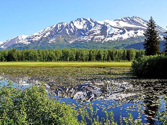 Alaska Photograph - Cold Reflections - Alaska by KJ Swan