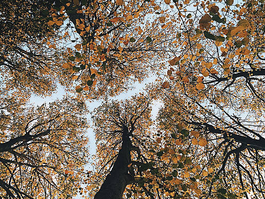 Wall Art featuring the photograph Color Up by Robert Newman