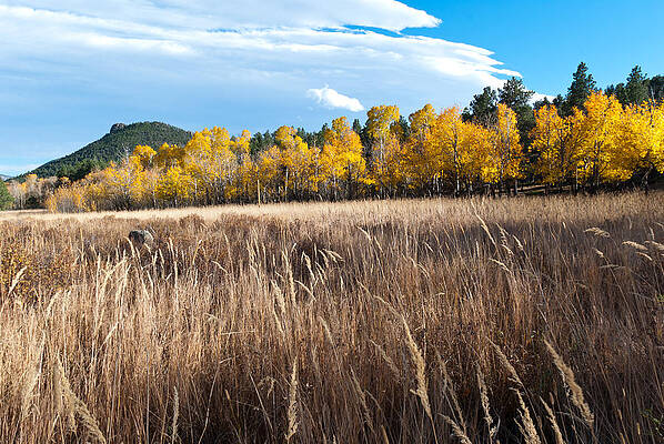 Colorado Photograph - Colorado Autumn Meadow Grasses And Mountain Scene by Cascade Colors