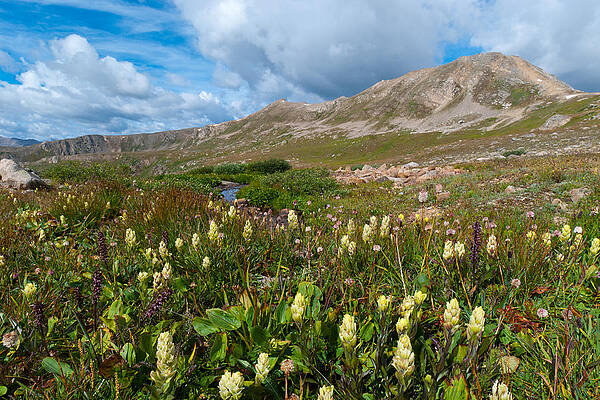 Colorado Photograph - Colorado Late Summer Splendor by Cascade Colors