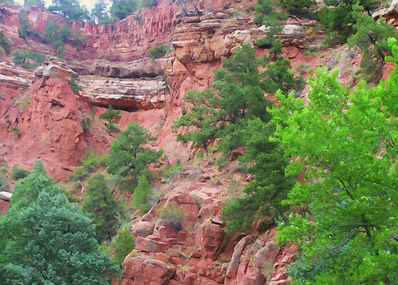 Painting - Colorado Springs Area Digital Oil #15 by Flees Photos
