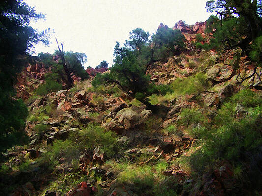 Painting - Colorado Springs Area Digital Oil #21 by Flees Photos