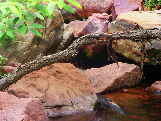 Painting - Colorado Springs Area Digital Oil #36 by Flees Photos