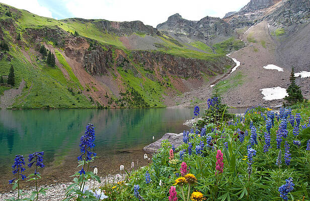 Colorado Photograph - Colorful Colorado Summer by Cascade Colors
