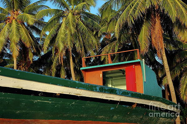 Transportation Wall Art featuring the photograph Colorful Fishing Boat Surrounded By Palm Tress In Maldives by Sami Sarkis Photography