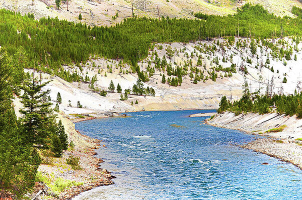 Tree Wall Art featuring the photograph Colorful River by La Dolce Vita