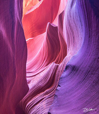 Stunning Slot Canyon Curves Wall Art