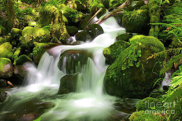 Oregon Photograph - Columbia Gorge Stream by Bruce Block
