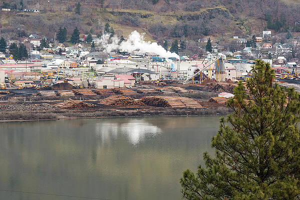 Landscape Photograph - Columbia River Timber Mill by Tom Cochran