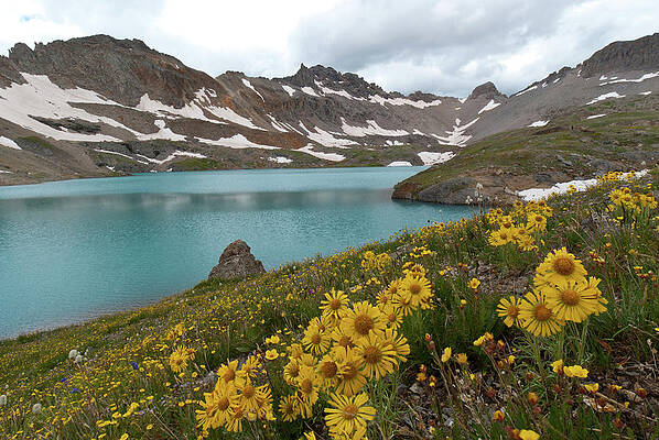 Sky Wall Art featuring the photograph Columbine Lake And Alpine Sunflower Landscape by Cascade Colors