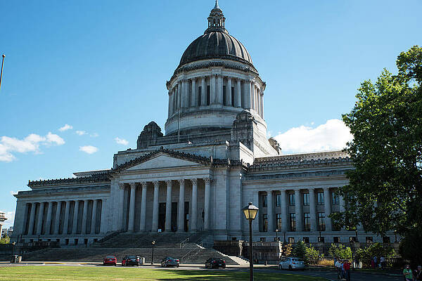 Washington Photograph - Columns In A Row by Tom Cochran