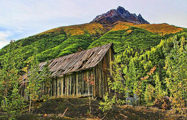Photograph - Compressor Shack by Fred Denner