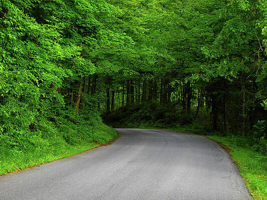 Wall Art featuring the photograph Connecticut's Hoyt Road by Raymond Salani III