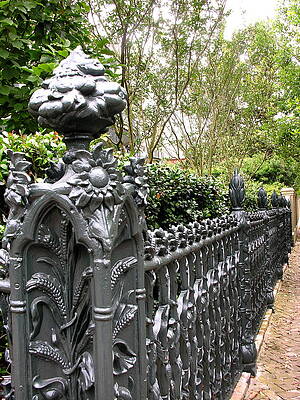 Garden Wall Art featuring the photograph Cornstalk Fence by C Thomas Cooney