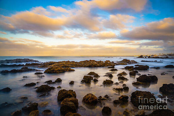 California Wall Art featuring the photograph Corona Beach Tide Pools In Newport Beach California by Paul Velgos