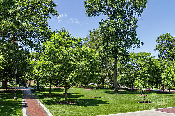 Villanova University Photograph - Corr Hall Green Space by William Norton