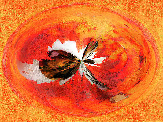Wall Art featuring the photograph Cosmic Elements by Marla Craven