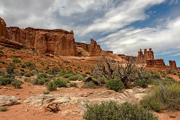 Courthouse Towers by Steve L'Italien