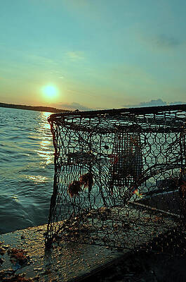 Boat Photograph - Crab Pot On The River by La Dolce Vita