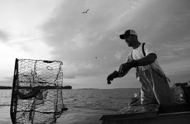 Boat Photograph - Crabbing by La Dolce Vita