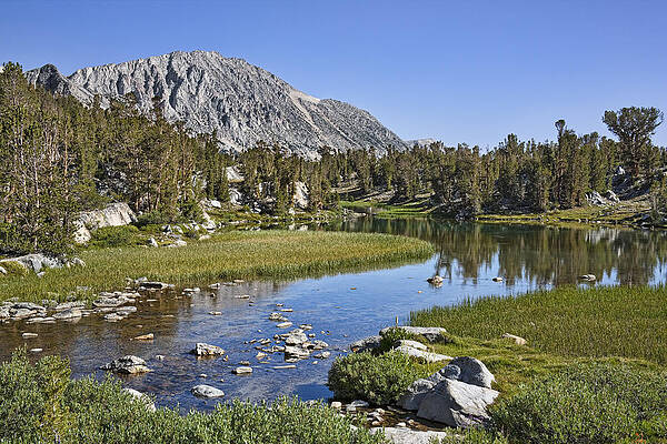 Nature Wall Art featuring the photograph Creek With A View by Kelley King
