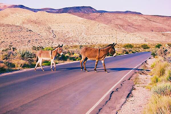 Wall Art featuring the photograph Crossing The Desert Road by Tatiana Travelways