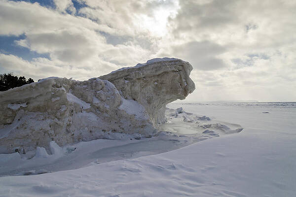 Winter Wall Art featuring the photograph Crouching Tiger by Steve L'Italien