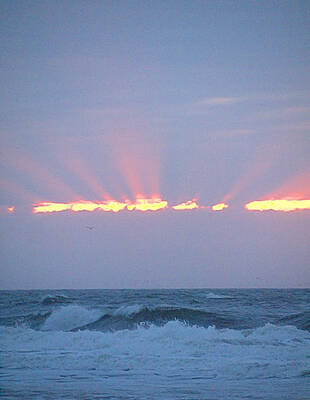 Sky Wall Art featuring the photograph Crown by Robert Newman