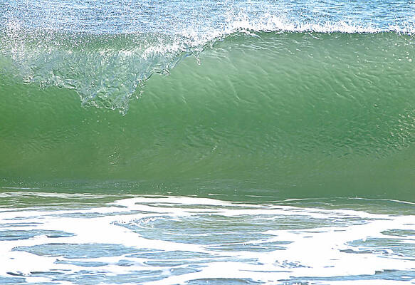 Photograph - Curl by Robert Newman