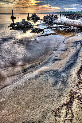 Abstract Photograph - Cypress Stumps In Albemarle Sound 4880 by Dan Beauvais
