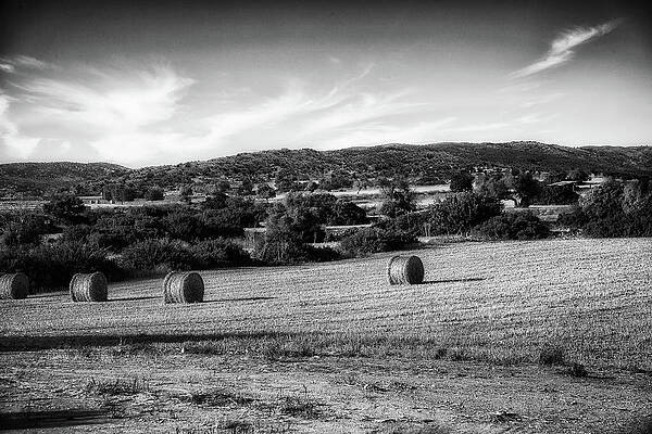 Wall Art featuring the photograph Mediterranean Crop Field BW by Al Poullis