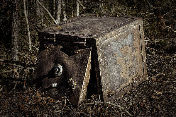 Photograph - Dan Creek Safe 2 by Fred Denner