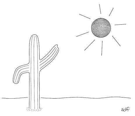 Cactus and Sun in Minimalist Desert Drawing