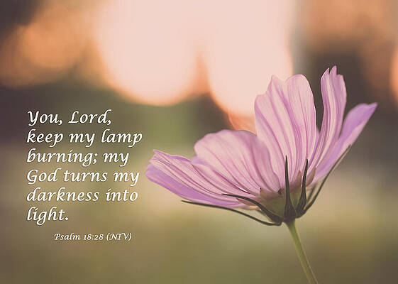 Inspirational Photograph - Darkness Into Light by Joni Eskridge