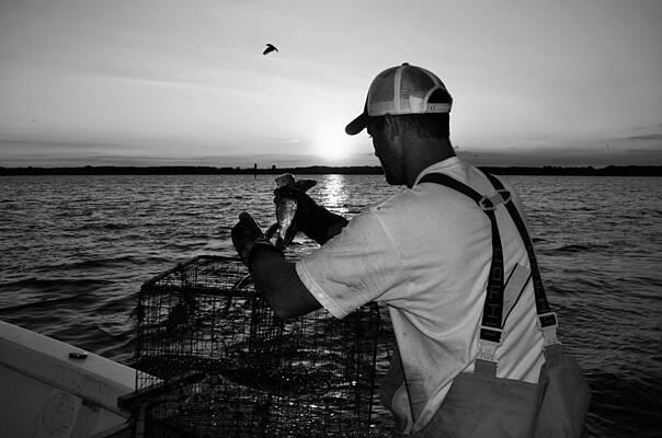 Water Wall Art featuring the photograph Day On The Water by La Dolce Vita