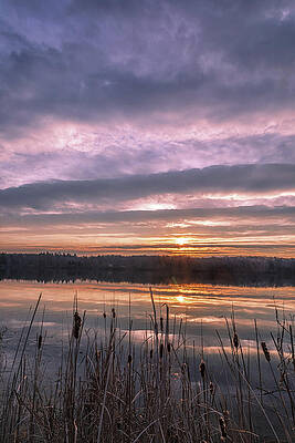 Beautiful Photograph - Daybreak Absorption by Todd Wilkinson