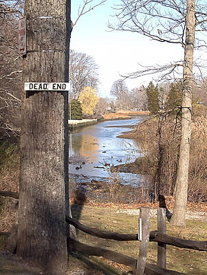 Wall Art featuring the photograph Dead End by Robert Newman