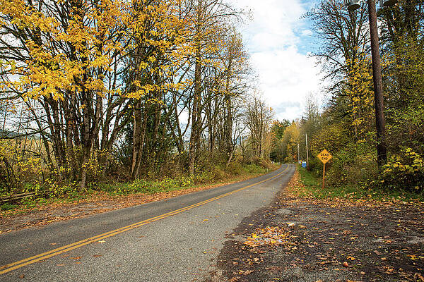 Fall Wall Art featuring the photograph Dead End On Rutsatz Road by Tom Cochran