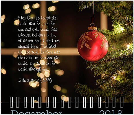 Inspirational Photograph - December Inspirational Preview by Joni Eskridge