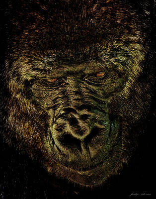 Wall Art featuring the photograph Deep In Thought by Jacalyn Ackerman