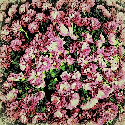 Wall Art featuring the photograph Delightful Mums by Onedayoneimage Photography