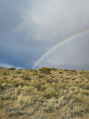 Wildlife Photograph - Desert Rainbow - Socorro - NM by Steven Ralser